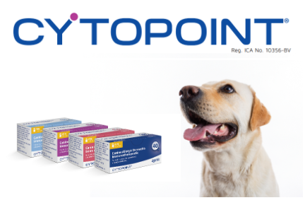 Cytopoint injection for dogs