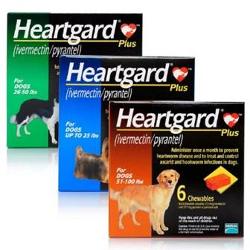 Heartgard Plus Dogs