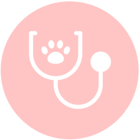 Veterinary Services