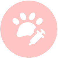 Spay and Neuter