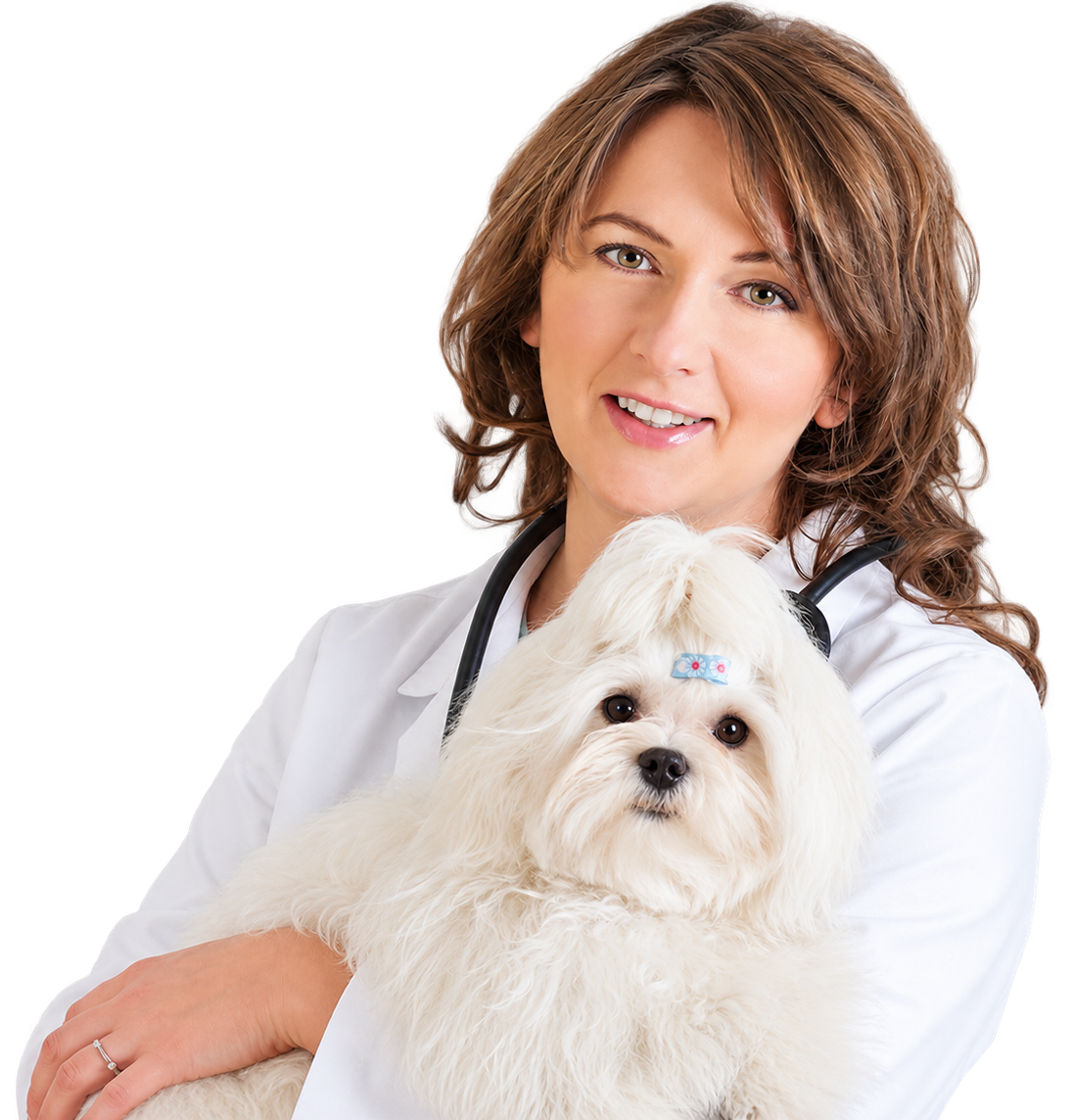 Doctor Holding a Dog